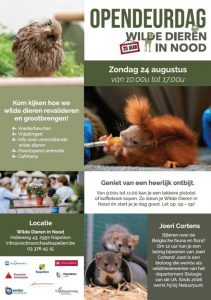 Zondag opendeurdag VOC Brasschaat Kapellen 2