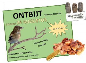 Zondag opendeurdag VOC Brasschaat Kapellen 3