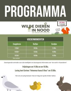 Zondag opendeurdag VOC Brasschaat Kapellen 4